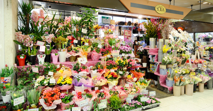 ワールドフラワーマーケット草加アコス店